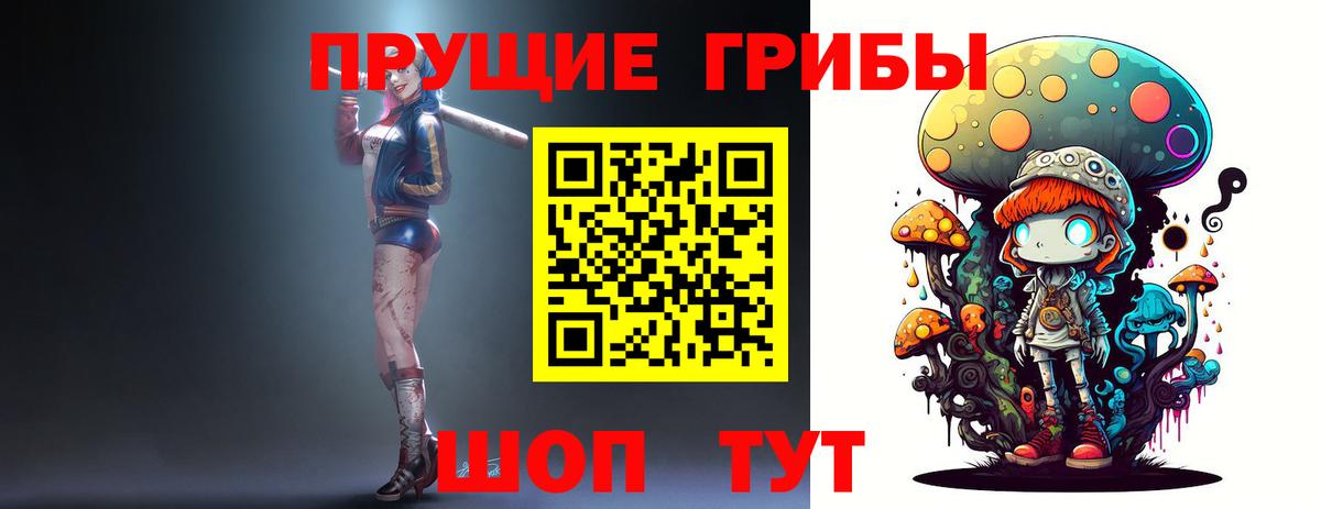 Галлюциногенные грибы Psilocybe Зеленокумск